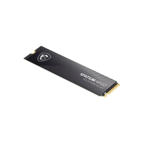 هارد اس اس دی ام اس آی مدل Spatium M560 PCIe 5.0 NVMe M.2 2TB - تصویر 2