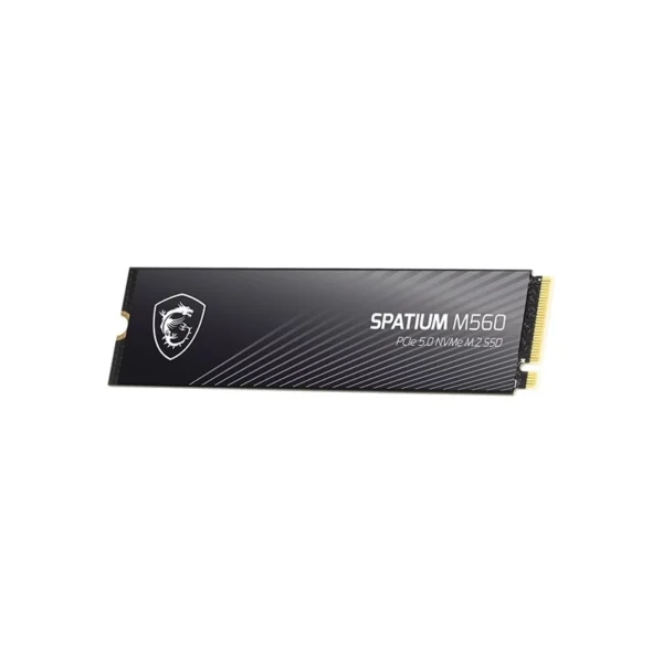 هارد اس اس دی ام اس آی مدل Spatium M560 PCIe 5.0 NVMe M.2 2TB - تصویر 3